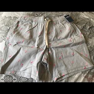 Men’s brand new Hollister shorts!
